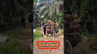 Download lagu Ojek sawit pakai sepeda dayung #langsirsawit #ojeksawit #panensawitbuahbanyak #kebunsawit mp3 Download lagu Ojek sawit pakai sepeda dayung #langsirsawit #ojeksawit #panensawitbuahbanyak #kebunsawit mp3