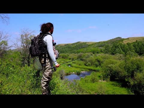 Off-Grid 24 Hrs – Monster Brown Trout in a Forgotten Valley / Camp n Cook
