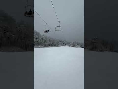 Chapelco 2026