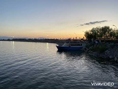 Leçon no.24 by Napolyon Coste