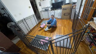 Petorldog Dog Fence Indoor/Outdoor for Yard Dog Playpen Review 