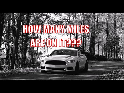 125,000 MILES ON A 2017 MUSTANG GT!!! #ford #mustang