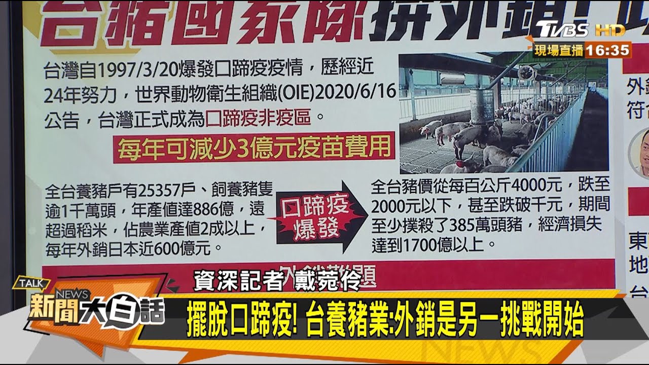台豬解禁拚外銷? 豬農憂脫節太久沒優勢