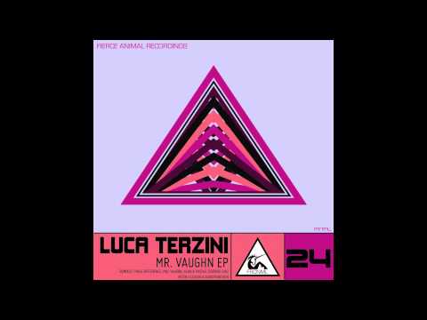 Luca Terzini - Mr Vaughn