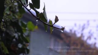 Rainy days and Mondays