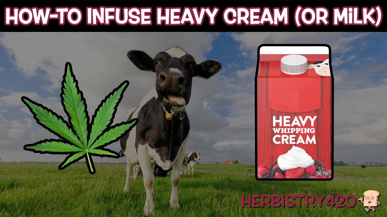 Cannabis Infused Heavy Cream Recipe: 5 Simple Steps