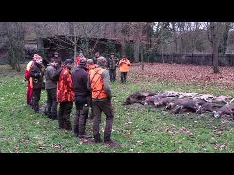 Drückjagd Thüringen | 2 Perspektiven Ansitz - Jagdkrone
