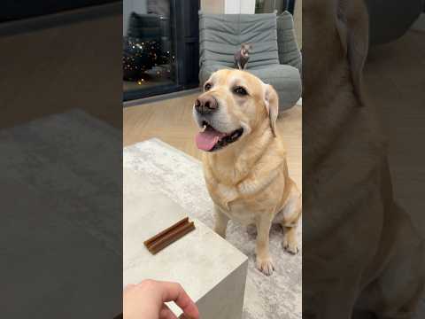 Хитро сработал😁