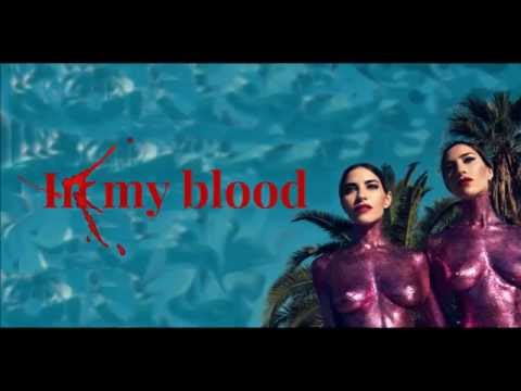 In My Blood - The Veronicas (Lyrics)