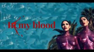 In My Blood - The Veronicas (Lyrics)