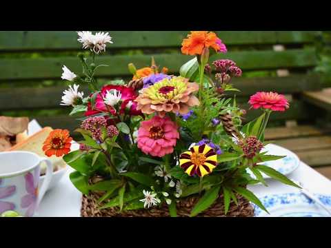 野の花の花束 トピックス