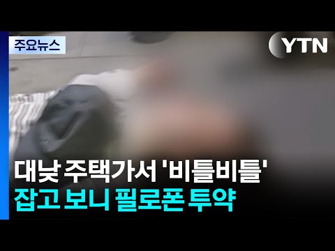 대낮 주택가서 '비틀비틀'...잡고 보니 필로폰 투약 / YTN