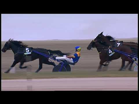 Napoli Trotto 02/10/2021 - 1ª corsa