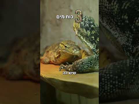 החיות הכי מסוכנות בחווה שלי😱