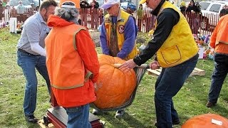 preview picture of video 'The Sycamore Pumpkin Fest'