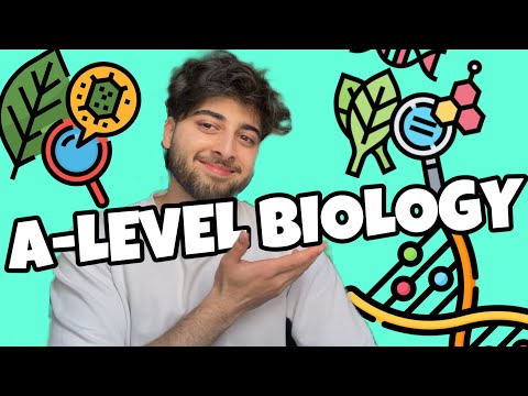Last-Minute A-Level Biology Paper 1 Tips