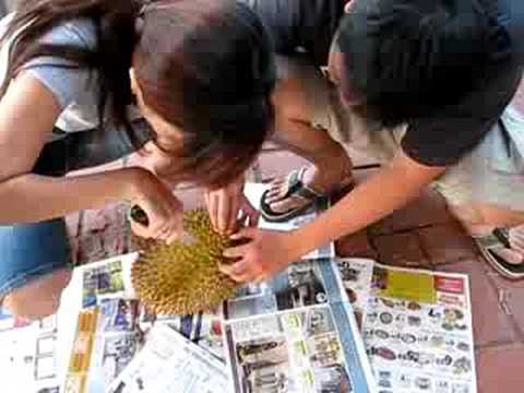 How to Open a Fresh Durian Fruit the "King of Fruits"