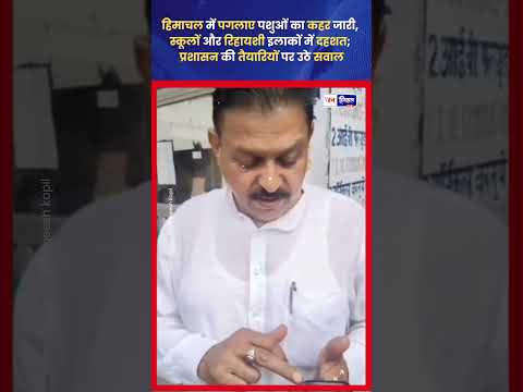 हिमाचल में बेसहारा पशुओं का कहर, स्कूलों में दहशत