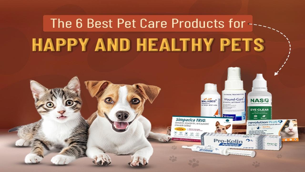 6 Best Pet Care Products Every Pet Parent Should Have | Top Dog & Cat Essentials