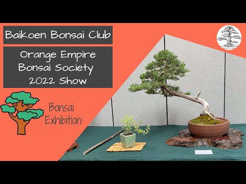 Orange Empire Bonsai Society 2022 Show -- Baikoen Bonsai Club - Safer @ Home Bonsai Series