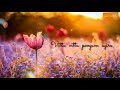 Anicha Malar Azhage Song Whatsapp Status Cover Song Status Jeee Tamil