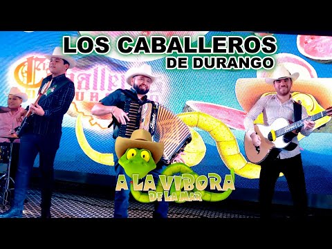 Los Caballeros de Durango - A la vibora de la mar