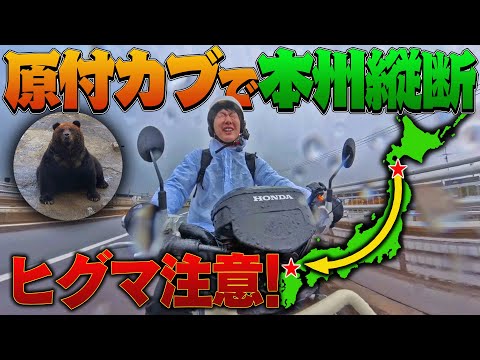 【#2】原付カブ”無給油”で本州縦断することは出来るのか⁉︎ 〜極寒の北海道へ！ヒグマに会った！〜