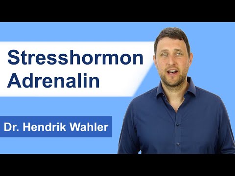 Adrenalin: Das bewirkt das Stresshormon im Körper