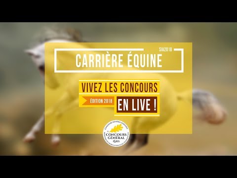 Voir la vidéo : Carrière Équine du 25 Février 2018
