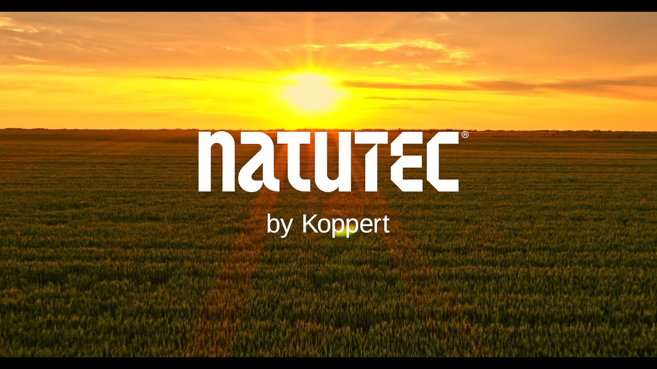 Video preview poster