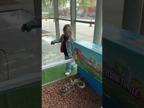Mau naik ke kandang kura2 🫣