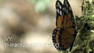 Ivy - Thinking About You (Official Music Video)