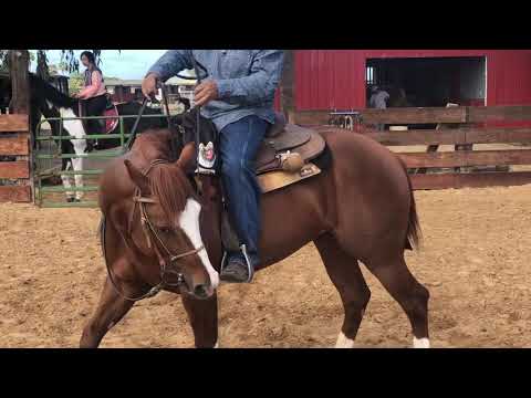 Starting with Snaffle Fillets and How to Use It 30, 60, 90