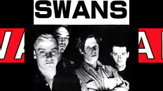 SWANS - Live at Effenaar in Eindhoven, Netherlands (6/8/84) [FULL SET]