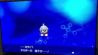 タネボー ポケットモンスター イシズマイ フカマル エテボース