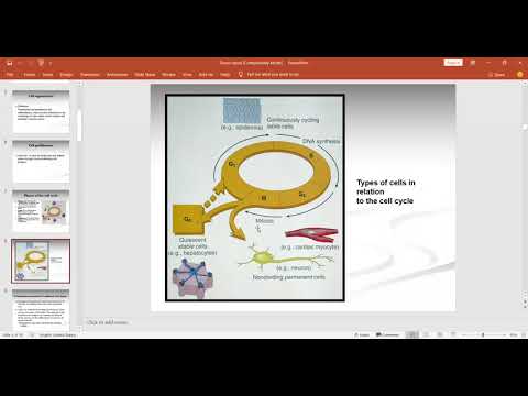 Tissue repair-1 part 1