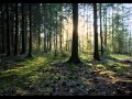 James Last - Вечерняя серенада (Франц Шуберт).wmv 