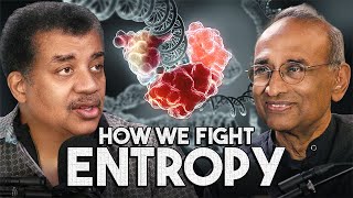 Download lagu Can Life Beat Entropy? mp3 Download lagu Can Life Beat Entropy? mp3