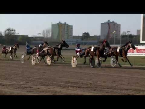 2017.04.01. 8. futam - AKKURÁTUS HENDIKEP