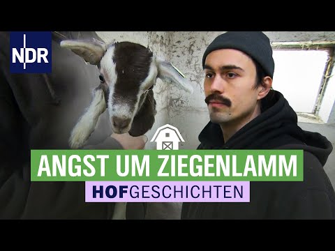 , title : 'Angst um Ziegenlamm | Hofgeschichten: Leben auf dem Land (275) | NDR'
