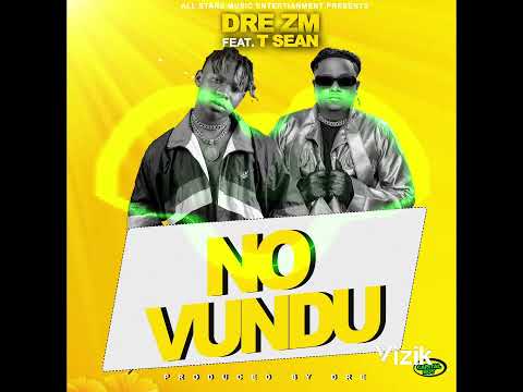 Dre zm ft T Sean - No Vundu ( Nga Ufuna Unga Yende ) (Visualizer) (Audio)