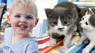 My Baby Nephew Meets Rescue Kittens For the First Time!
