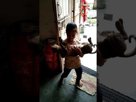 prutha Patel with cat