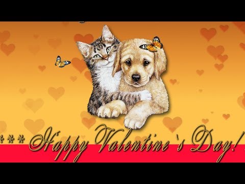 🎶💗 Happy Valentine`s Day ! Love You! 🎶💗4K Animation Greeting Cards