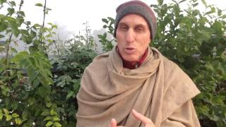 January18 : HG Mahatma Prabhu speaks on " Every Devotee is a Gem "