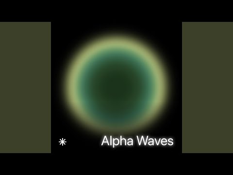 12 Hz High Level Cognition