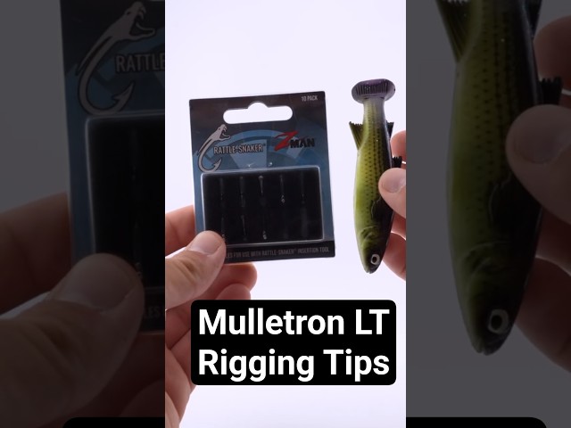 Vídeo relacionado con Z-Man MTLT6-06 Mulletron, LT Goldrush de 6 pulgadas
