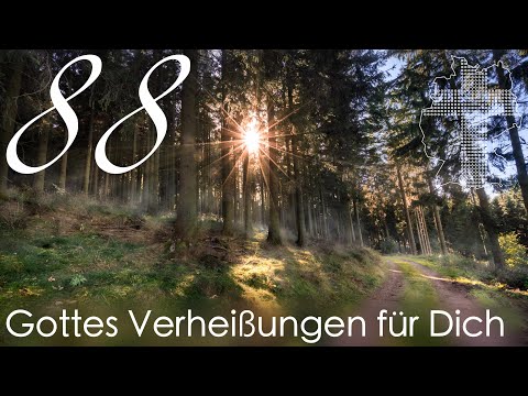 Gottes Verheißungen für Dich - 1. Johannes 5,14 | Videokalender 88/365 - Deutschland braucht JESUS