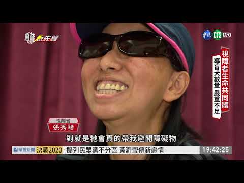 視障者的最佳夥伴 導盲犬培訓不易