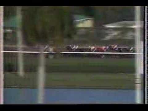 Sea Cadet -1992 Donn Handicap